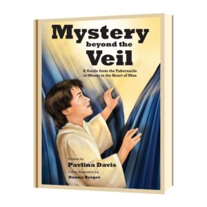 mystery beyond the veil cover