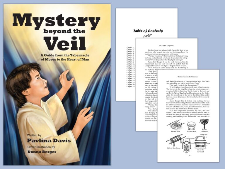 Mystery beyond the Veil Book